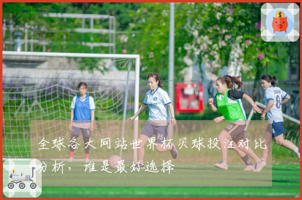 全球各大网站世界杯买球投注对比分析，谁是最好选择