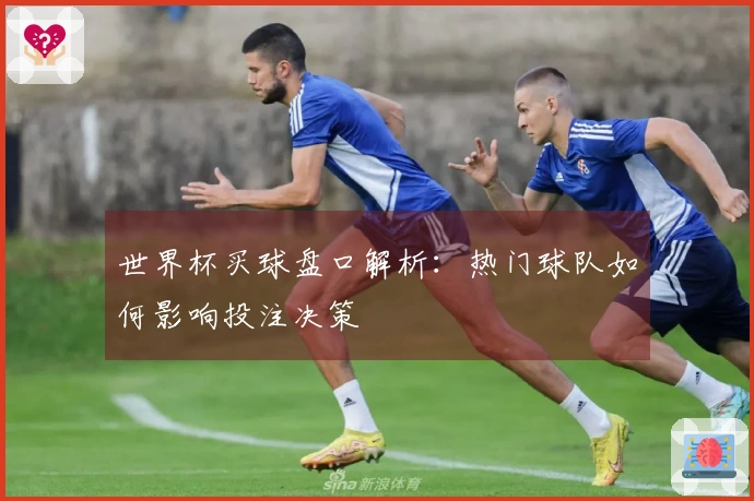 世界杯买球盘口解析：热门球队如何影响投注决策