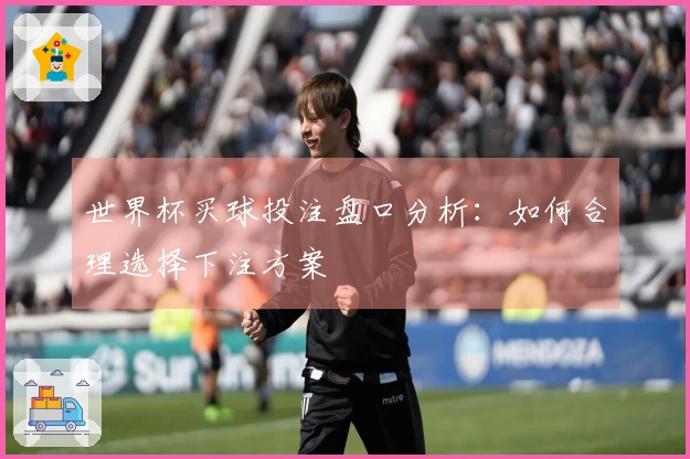 世界杯买球投注盘口分析：如何合理选择下注方案