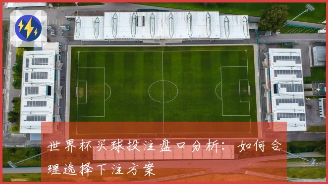 世界杯买球投注盘口分析：如何合理选择下注方案