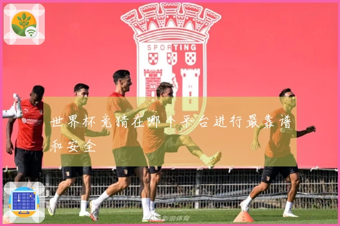 世界杯竞猜在哪个平台进行最靠谱和安全