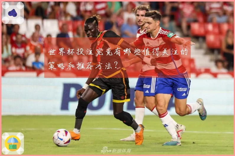 世界杯投注究竟有哪些值得关注的策略和推荐方法？