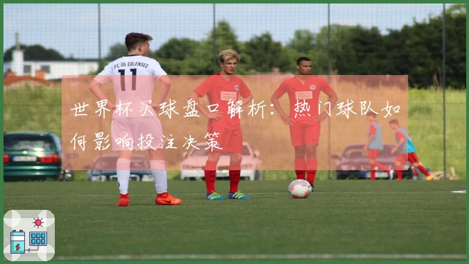 世界杯买球盘口解析：热门球队如何影响投注决策