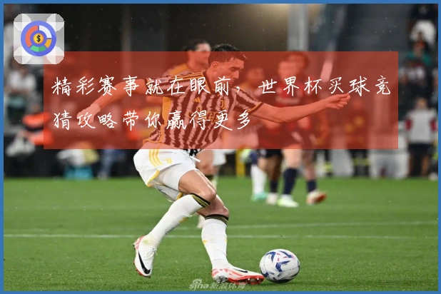 精彩赛事就在眼前，世界杯买球竞猜攻略带你赢得更多